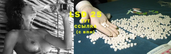 прущая мука Горняк