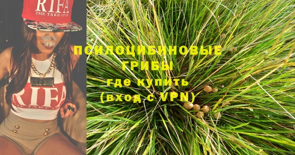 прущая мука Горняк