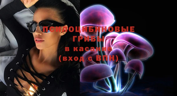 прущая мука Горняк