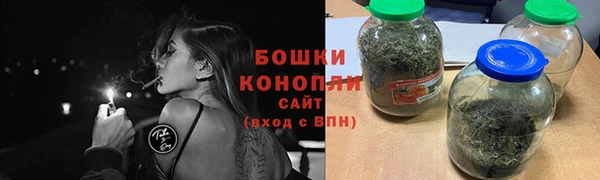 гидропоника Горнозаводск