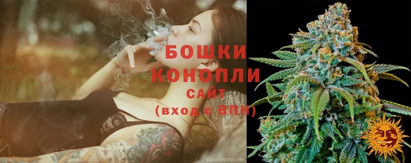 гидропоника Горнозаводск