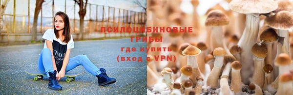 гидропоника Горнозаводск