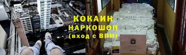 прущая мука Горняк