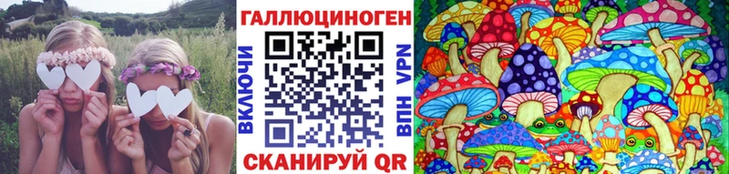 Купить где Волжск Псилоцибиновые грибы ЛСД